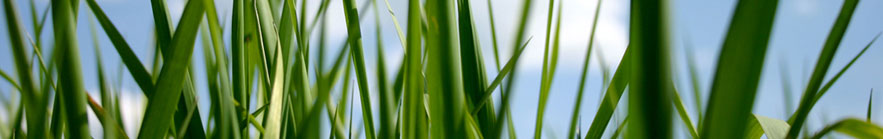 tagilo GmbH
